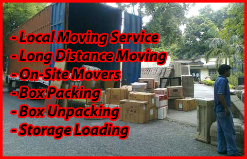 Packers And Movers Noida Sector 42